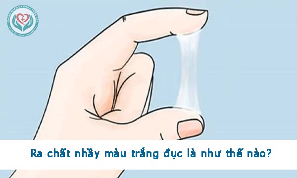 Ra chất nhầy màu trắng đục là như thế nào?