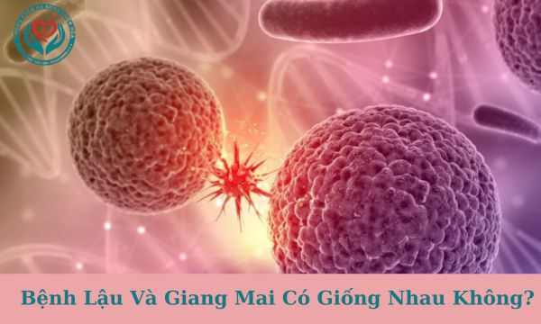 Bệnh lậu và giang mai có giống nhau không