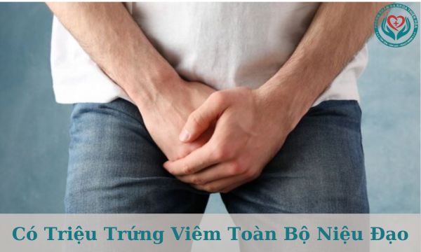 Viêm toàn bộ niệu đạo